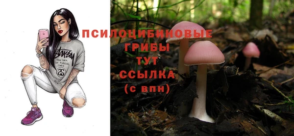 Альфа ПВП Бугульма