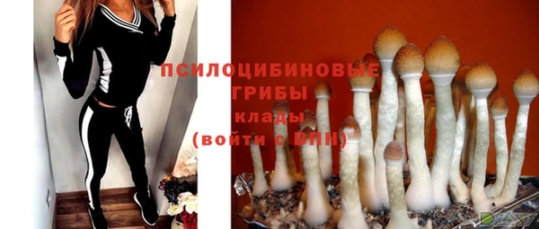 мет Верхний Тагил