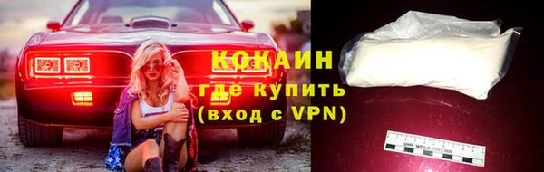 дживик Бронницы
