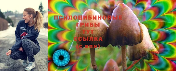 дживик Бронницы