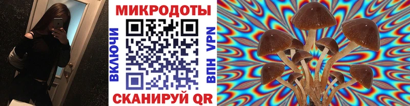 купить   мега вход  Галлюциногенные грибы Psilocybe  Керчь 
